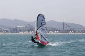 ������ PWA, Ulsan, Korea 2010 (����������� ���)